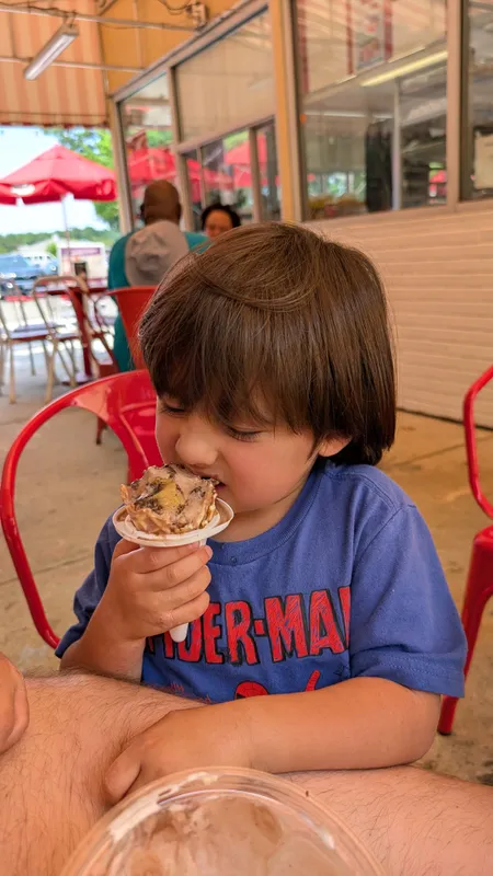 Bruster's real ice cream