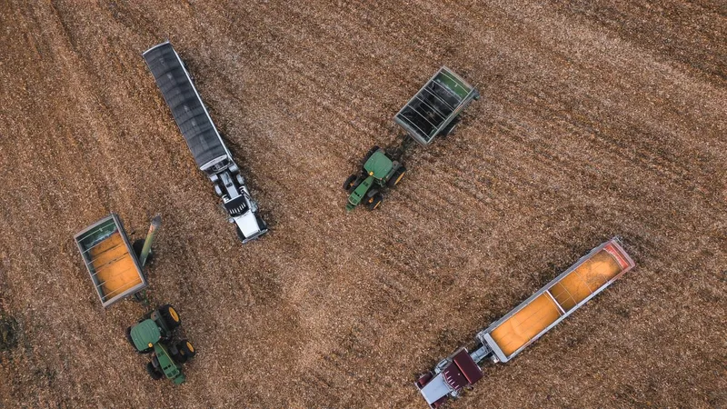 It takes a family: While four brothers are running grain wagons and semis, dad and grandpa are in the field harvesting. It’s a true family farm. (Josh Murray-Iowa)